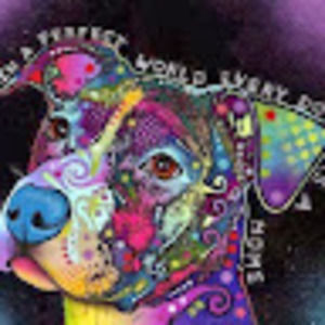 Meet your Posher, Nadine